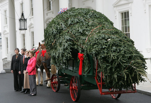 East Wing Rules: Michelle's First White House Christmas Tree